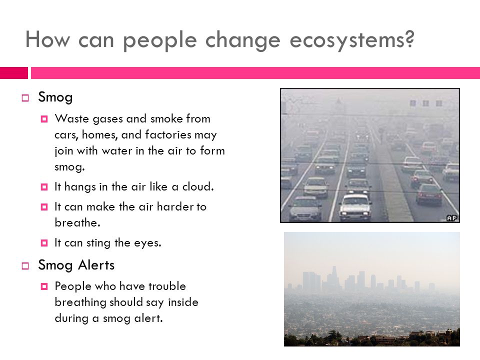How can people change ecosystems.