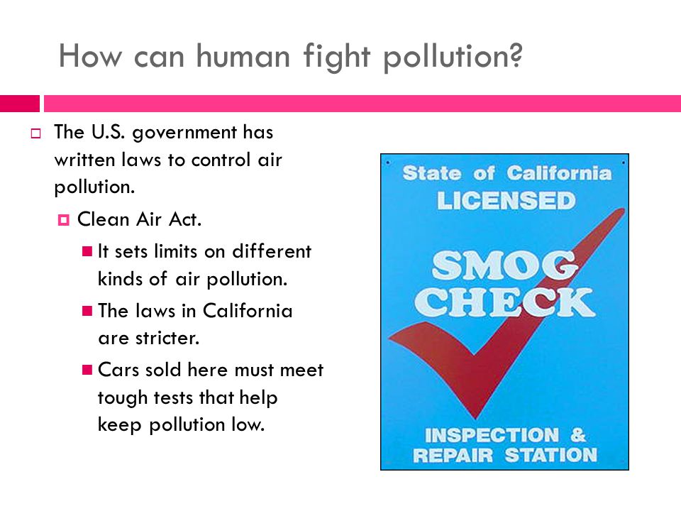 How can human fight pollution.  The U.S. government has written laws to control air pollution.