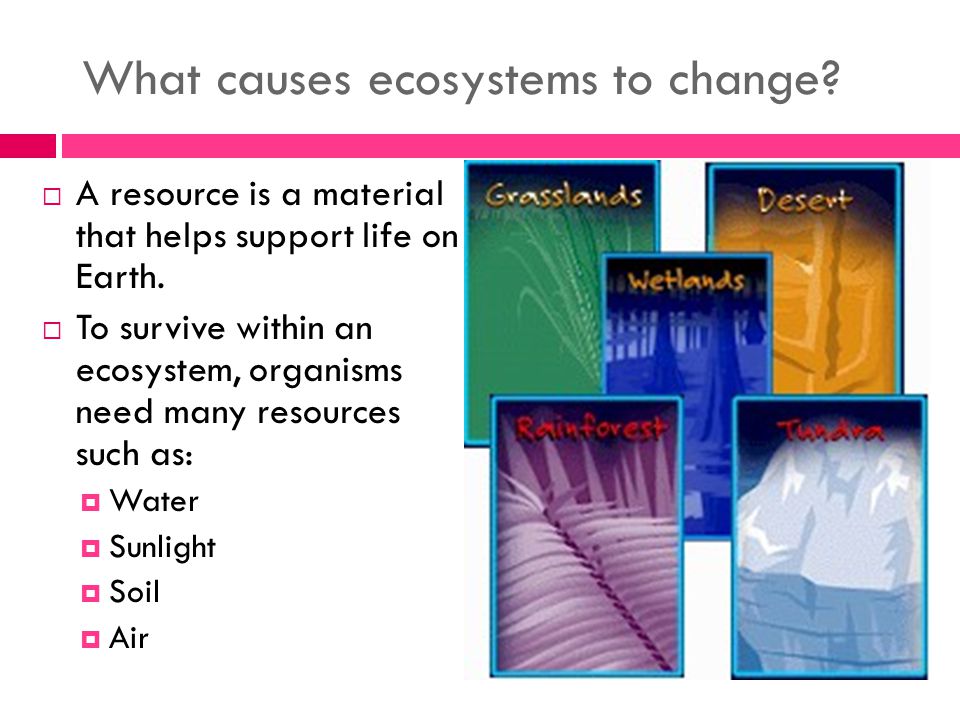 What causes ecosystems to change.  A resource is a material that helps support life on Earth.