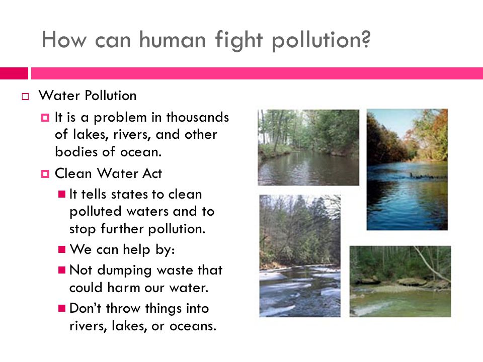 How can human fight pollution.