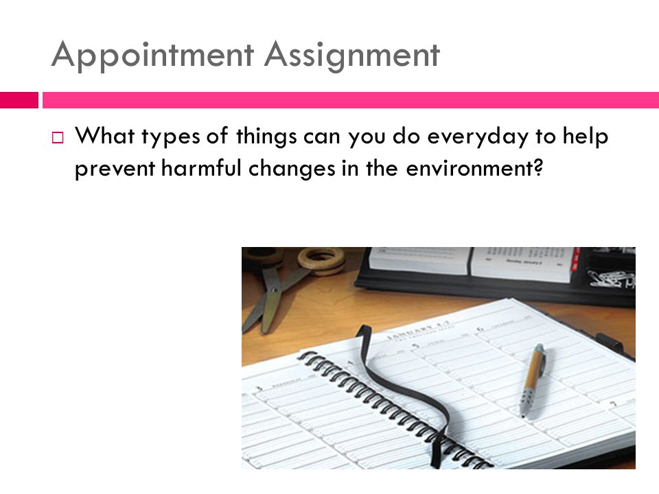 Appointment Assignment  What types of things can you do everyday to help prevent harmful changes in the environment