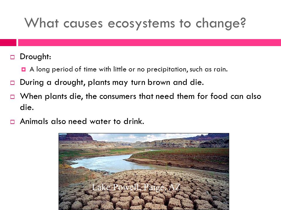 What causes ecosystems to change.