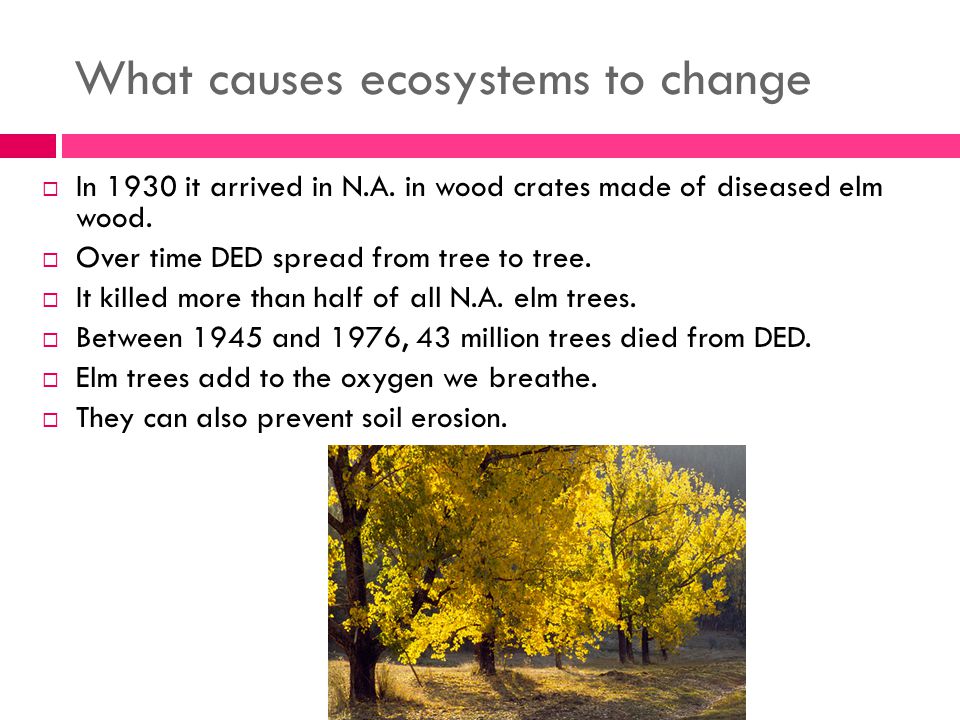 What causes ecosystems to change  In 1930 it arrived in N.A.