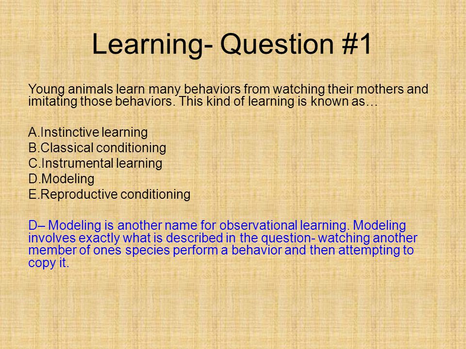 psychology ap questions essay psychology ap questions essay