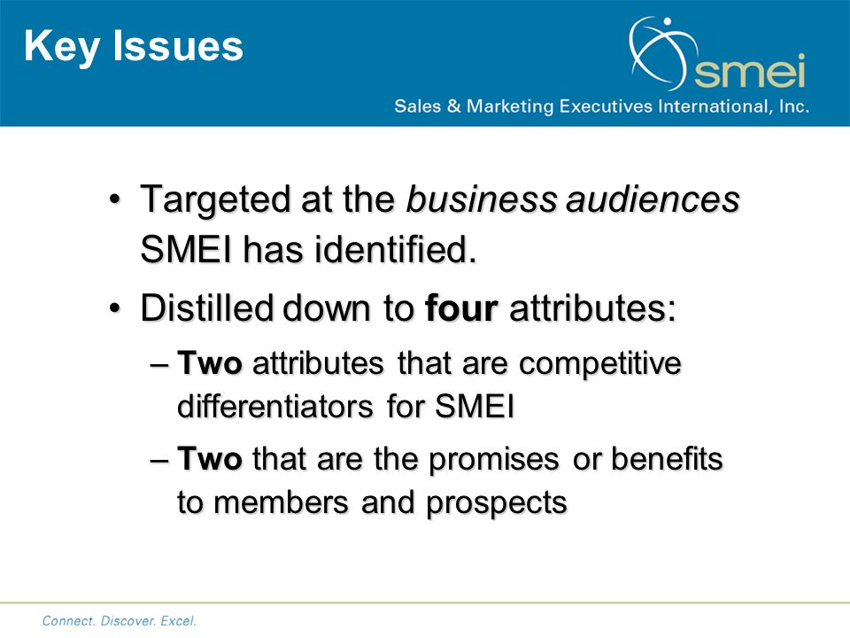 Key Issues Targeted at the business audiences SMEI has identified.Targeted at the business audiences SMEI has identified.