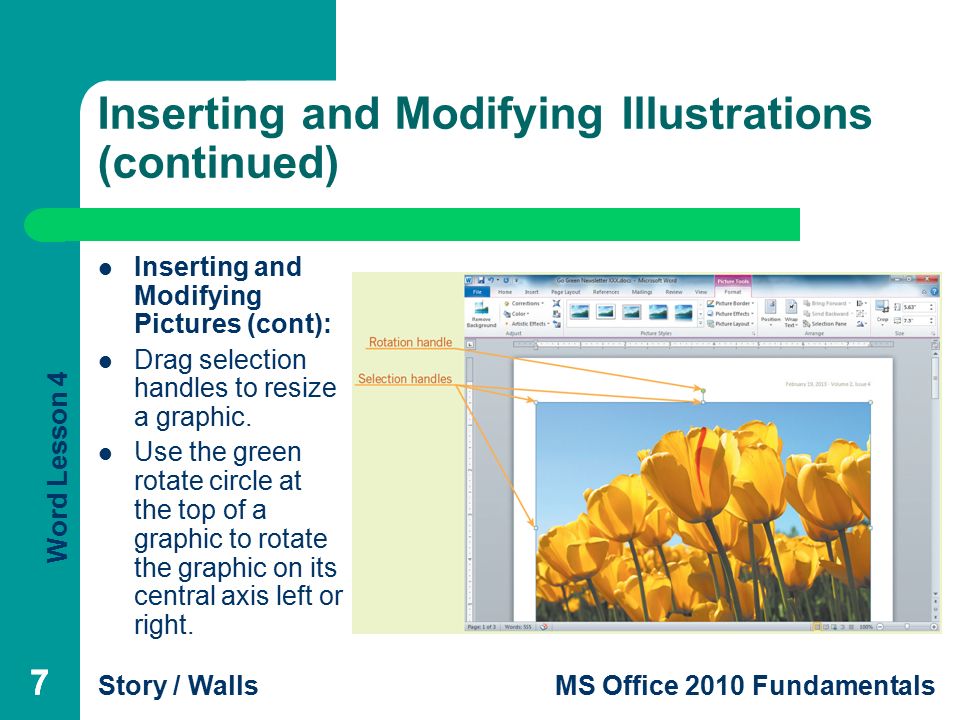 Word Lesson 4 Story / WallsMS Office 2010 Fundamentals 77 Inserting and Modifying Illustrations (continued) Inserting and Modifying Pictures (cont): Drag selection handles to resize a graphic.