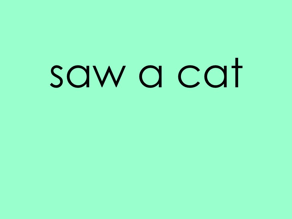 saw a cat