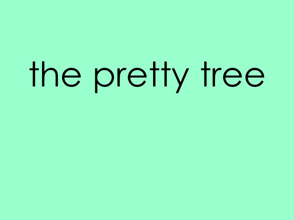 the pretty tree
