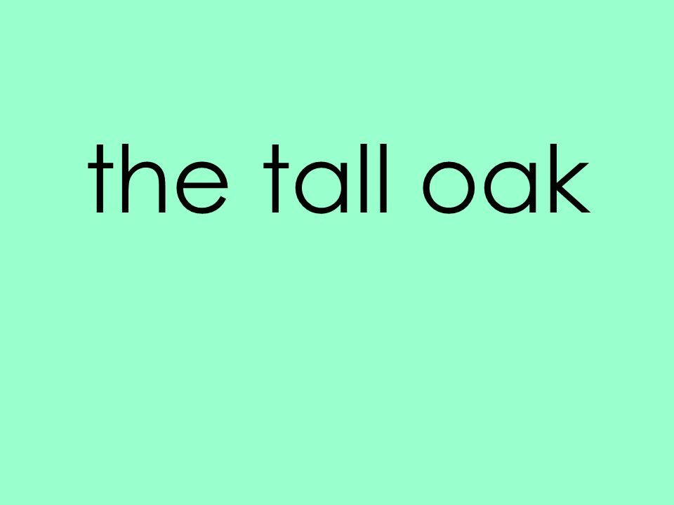 the tall oak