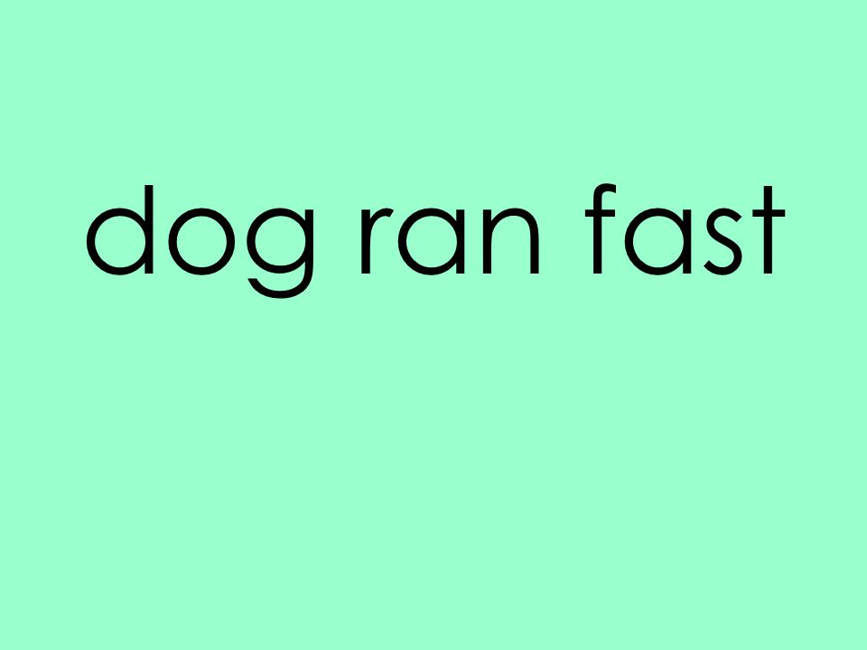 dog ran fast