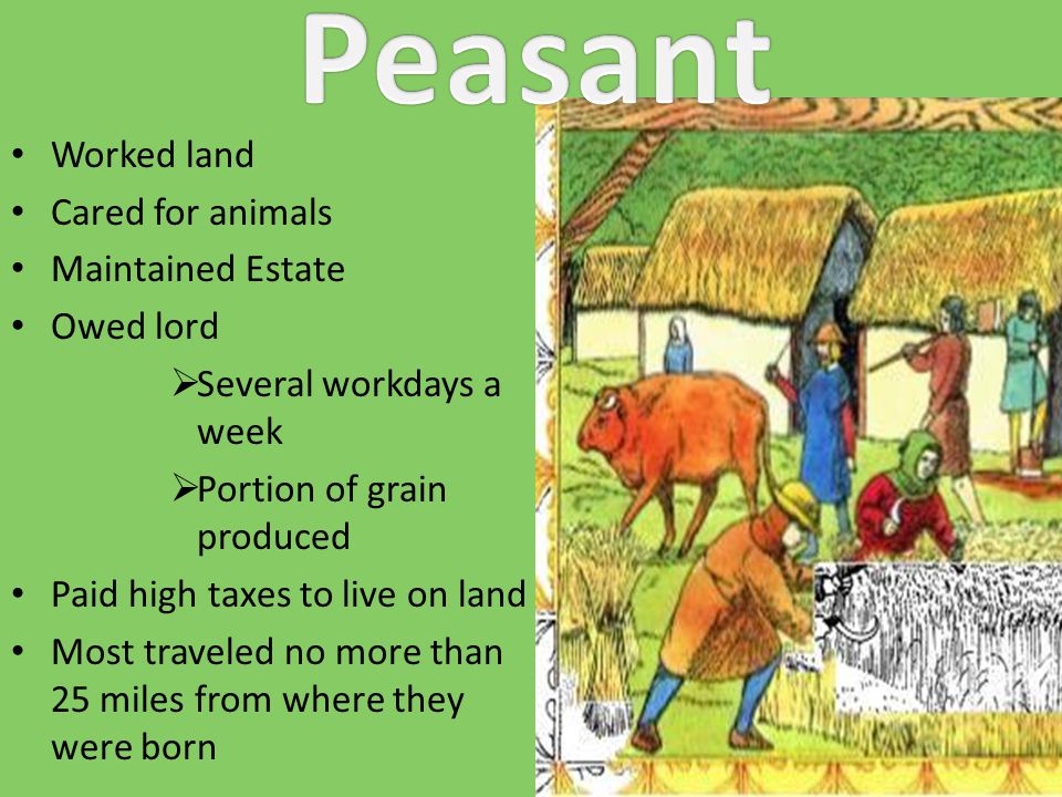 Worked land Cared for animals Maintained Estate Owed lord  Several workdays a week  Portion of grain produced Paid high taxes to live on land Most traveled no more than 25 miles from where they were born