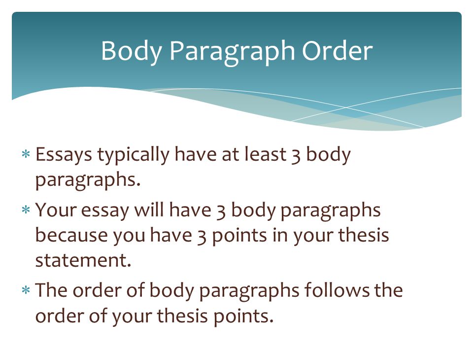 body image essays