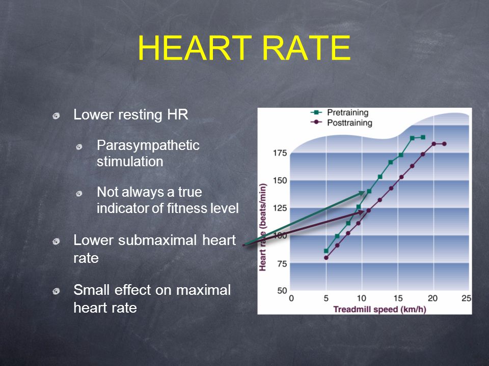 HEART RATE Lower resting HR Parasympathetic stimulation Not always a true indicator of fitness level Lower submaximal heart rate Small effect on maximal heart rate
