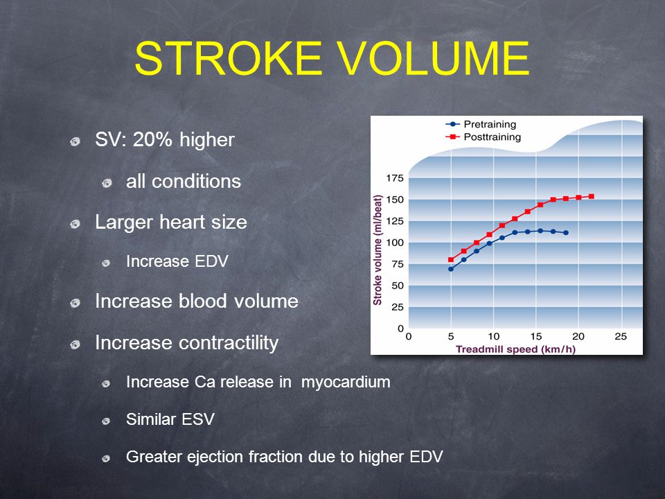 STROKE VOLUME SV: 20% higher all conditions Larger heart size Increase EDV Increase blood volume Increase contractility Increase Ca release in myocardium Similar ESV Greater ejection fraction due to higher EDV