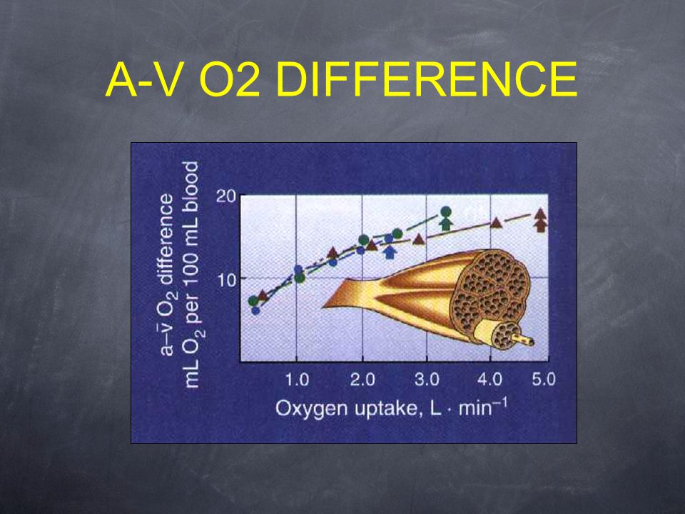 A-V O2 DIFFERENCE