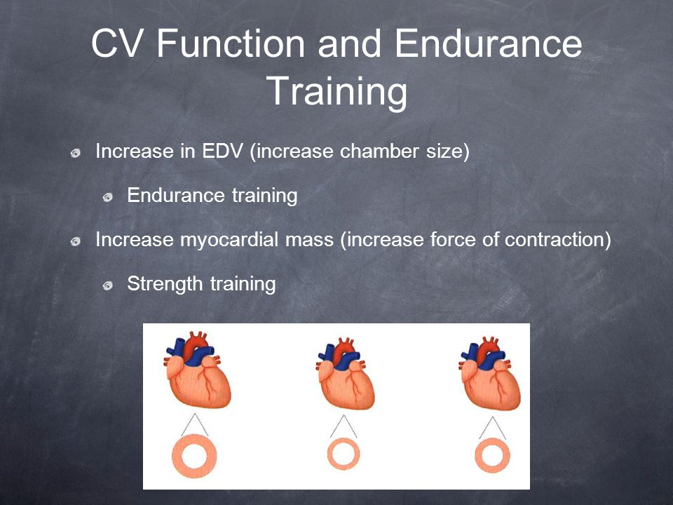 CV Function and Endurance Training Increase in EDV (increase chamber size) Endurance training Increase myocardial mass (increase force of contraction) Strength training
