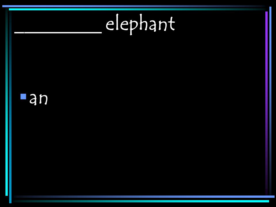 _________ elephant  an