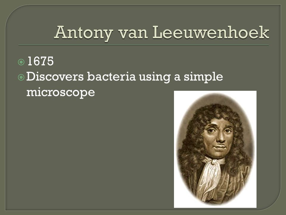  1675  Discovers bacteria using a simple microscope