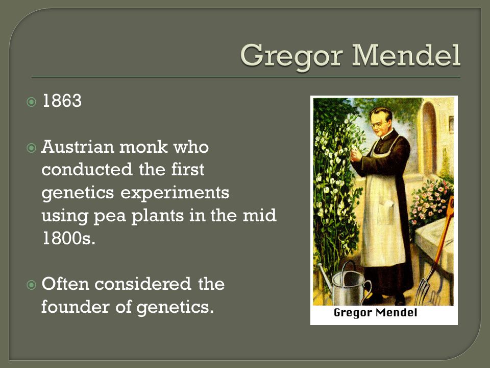  1863  Austrian monk who conducted the first genetics experiments using pea plants in the mid 1800s.