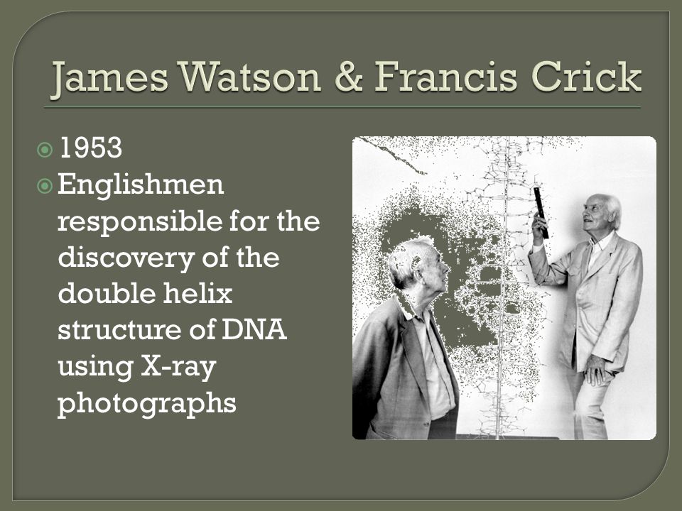  1953  Englishmen responsible for the discovery of the double helix structure of DNA using X-ray photographs