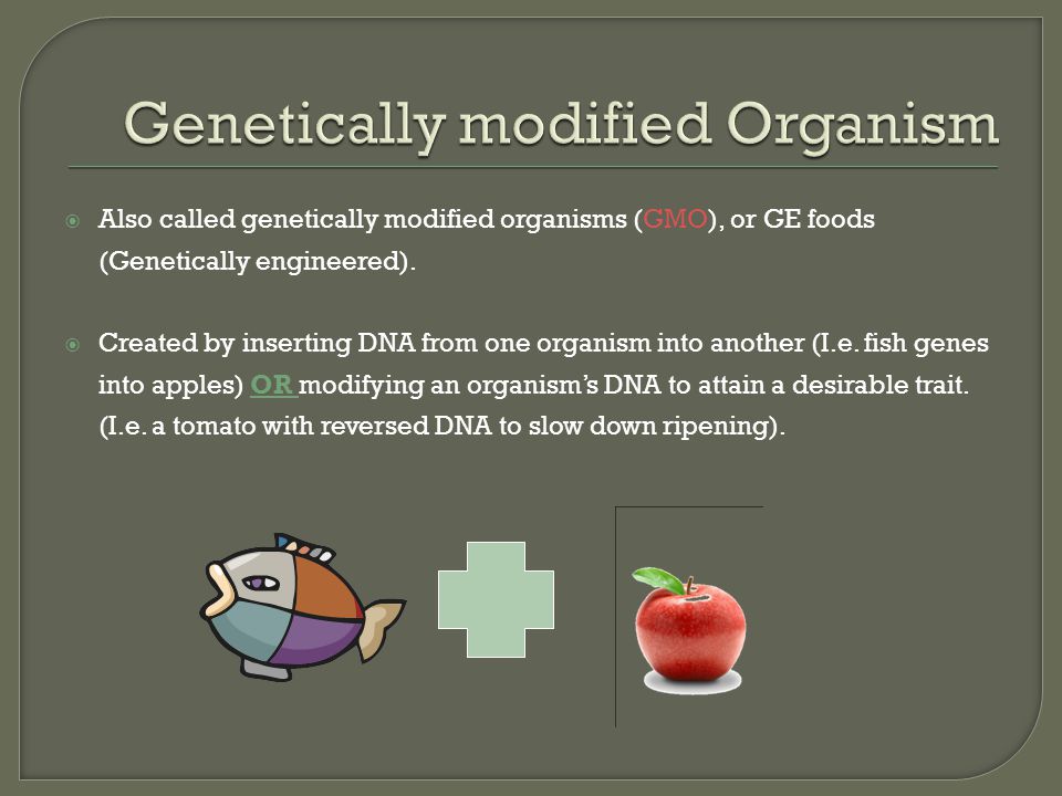  Also called genetically modified organisms (GMO), or GE foods (Genetically engineered).