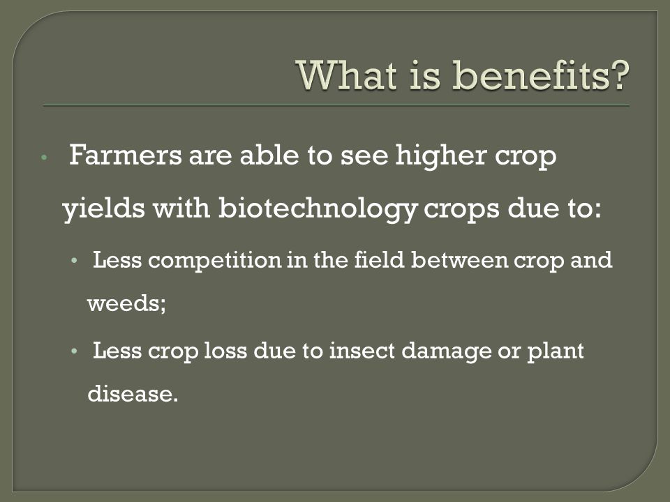 Farmers are able to see higher crop yields with biotechnology crops due to: Less competition in the field between crop and weeds; Less crop loss due to insect damage or plant disease.