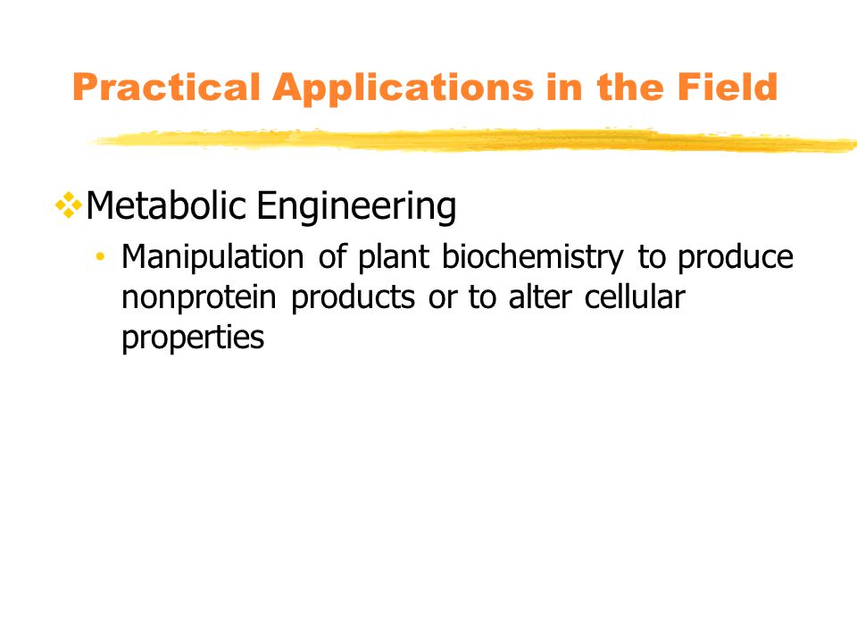  Metabolic Engineering Manipulation of plant biochemistry to produce nonprotein products or to alter cellular properties Practical Applications in the Field