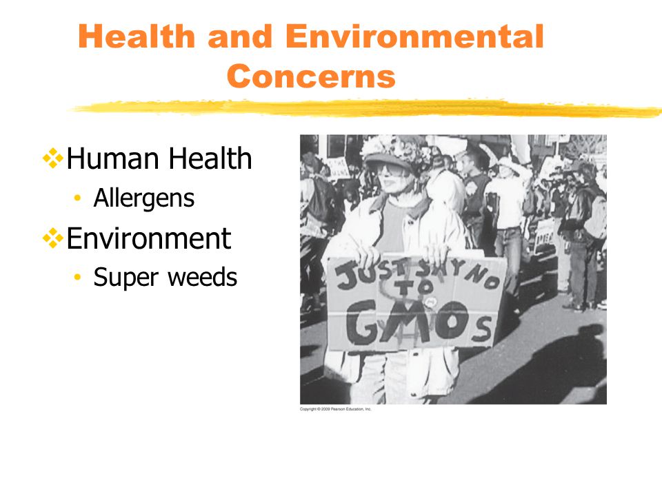 Health and Environmental Concerns  Human Health Allergens  Environment Super weeds