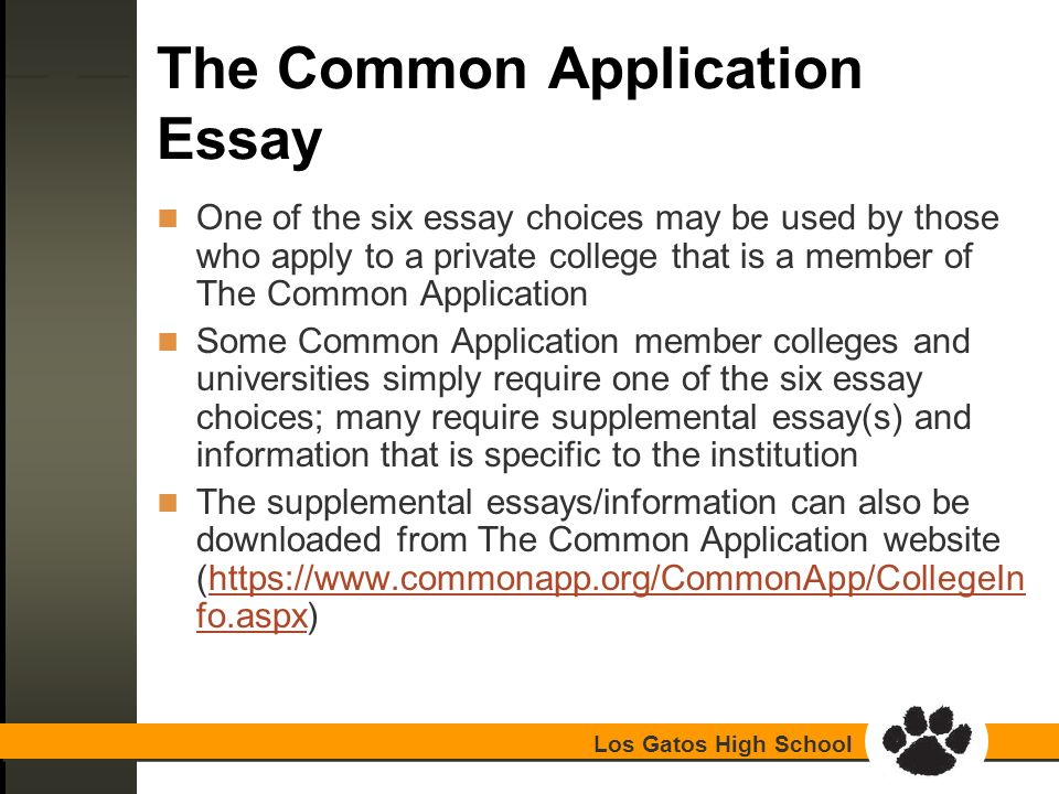 1essay 1essay