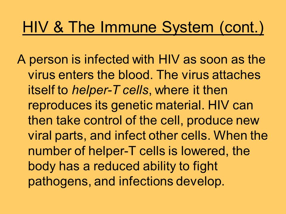 HIV & The Immune System (cont.) A person is infected with HIV as soon as the virus enters the blood.