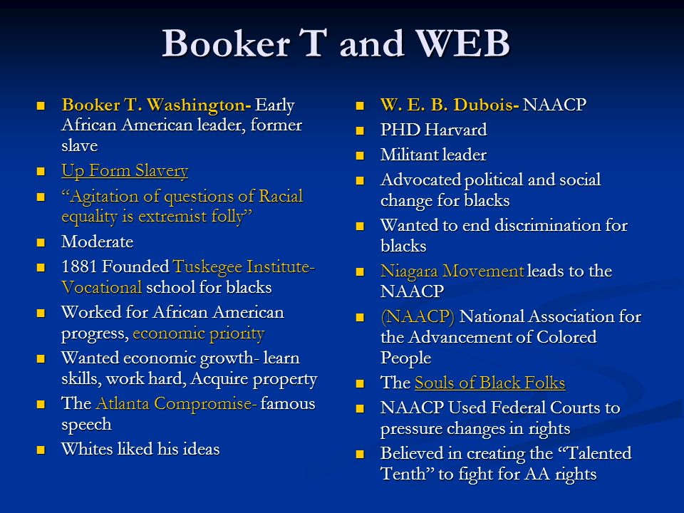 web du bois essay web du bois essay