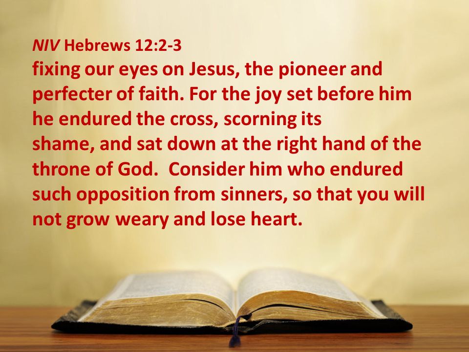 NIV Hebrews 12:2-3 fixing our eyes on Jesus, the pioneer and perfecter of faith.