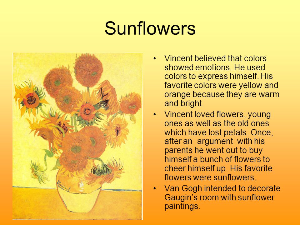 Sunflowers Vincent believed that colors showed emotions.