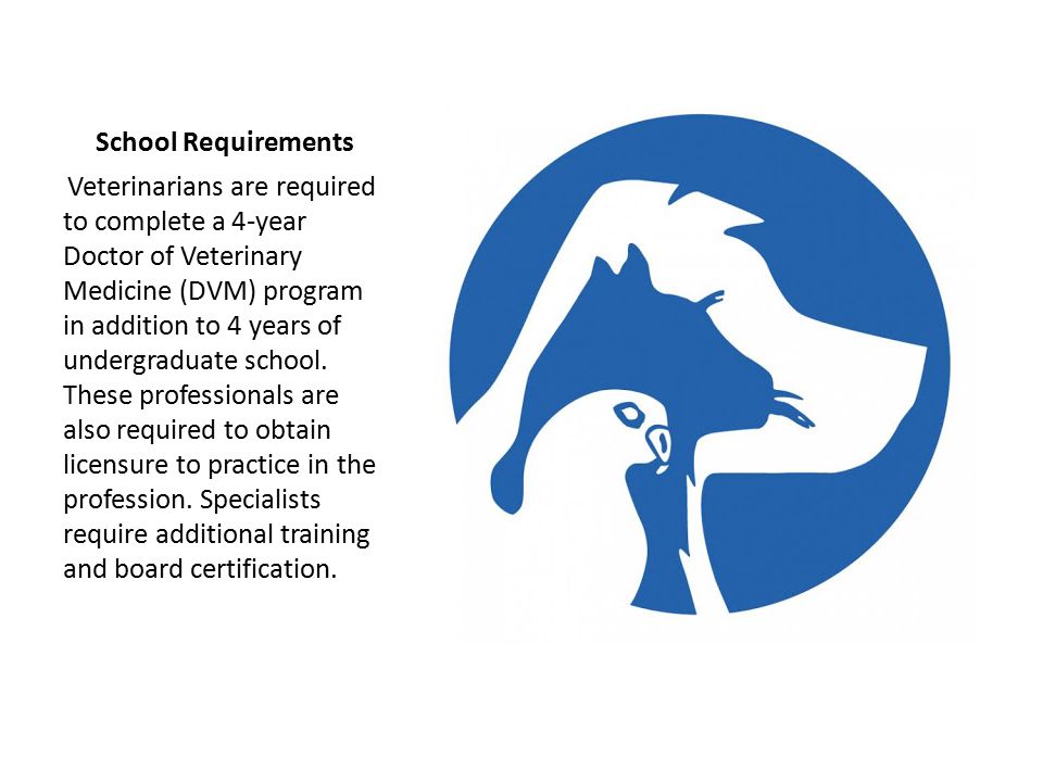 School Requirements Veterinarians are required to complete a 4-year Doctor of Veterinary Medicine (DVM) program in addition to 4 years of undergraduate school.