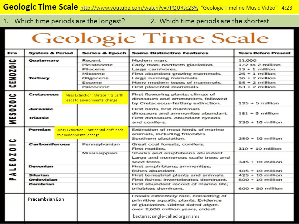 Printables Geological Time Scale Worksheet write an essay on geological time scale when you think of evolution what comes to mind draw a circle slideplayer