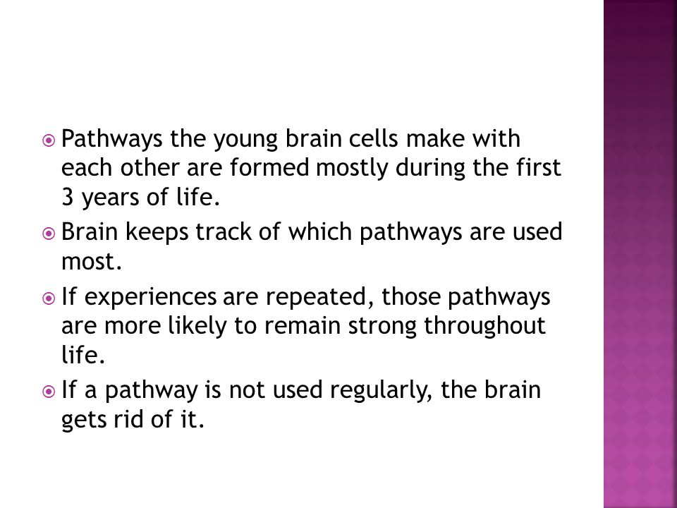  Pathways the young brain cells make with each other are formed mostly during the first 3 years of life.