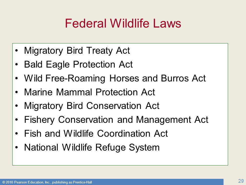 © 2010 Pearson Education, Inc., publishing as Prentice-Hall 29 Federal Wildlife Laws Migratory Bird Treaty Act Bald Eagle Protection Act Wild Free-Roaming Horses and Burros Act Marine Mammal Protection Act Migratory Bird Conservation Act Fishery Conservation and Management Act Fish and Wildlife Coordination Act National Wildlife Refuge System Migratory Bird Treaty Act Bald Eagle Protection Act Wild Free-Roaming Horses and Burros Act Marine Mammal Protection Act Migratory Bird Conservation Act Fishery Conservation and Management Act Fish and Wildlife Coordination Act National Wildlife Refuge System
