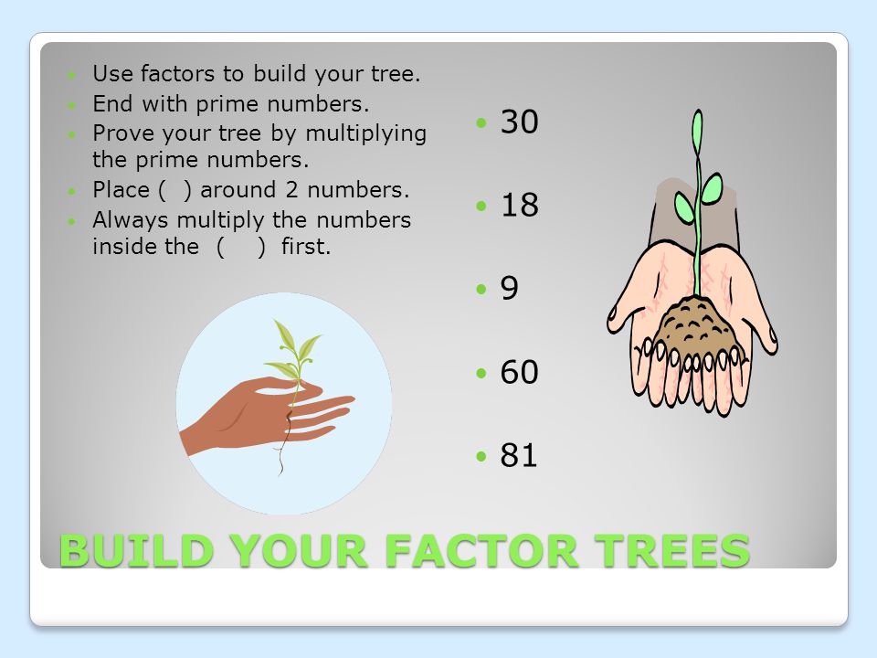 (2 x 2) x (2 x 3) (2 x 2) x (2 x 3) 4 x 6 = 24 4 x 6 = 24 (2 x 2) x (2 x 3) (2 x 2) x (2 x 3) 4 x 6 = 24 4 x 6 = 24 When building a tree, you need to end with prime numbers.