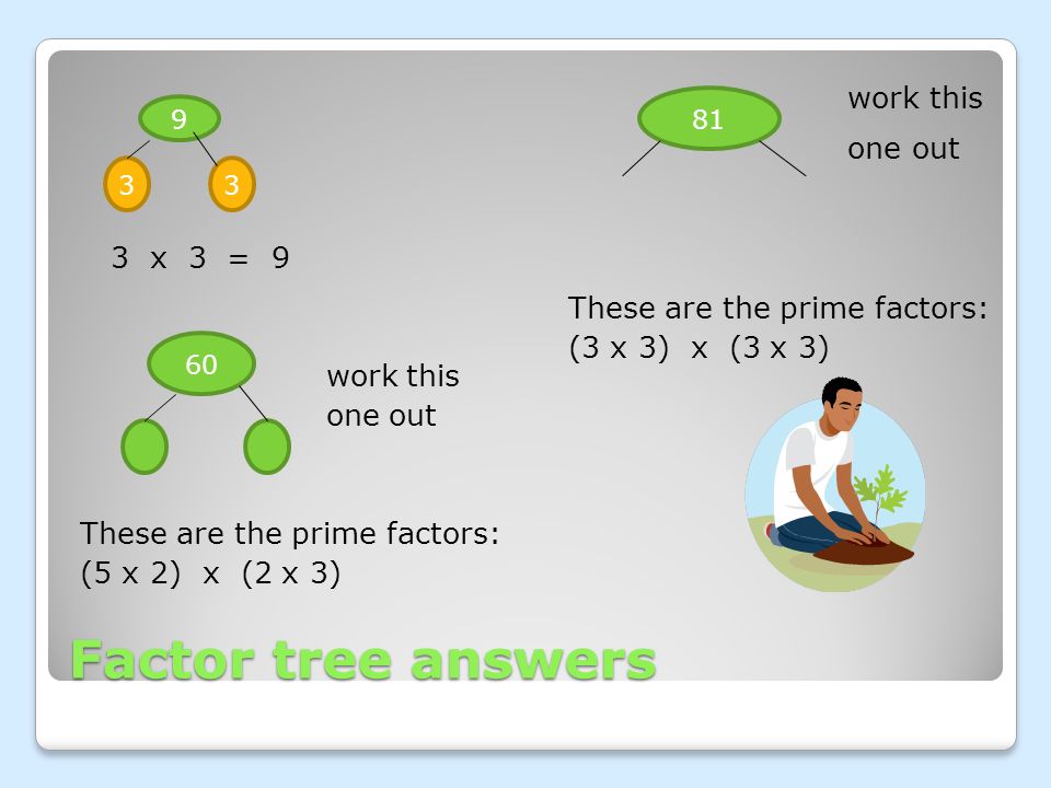 Factor tree answers.