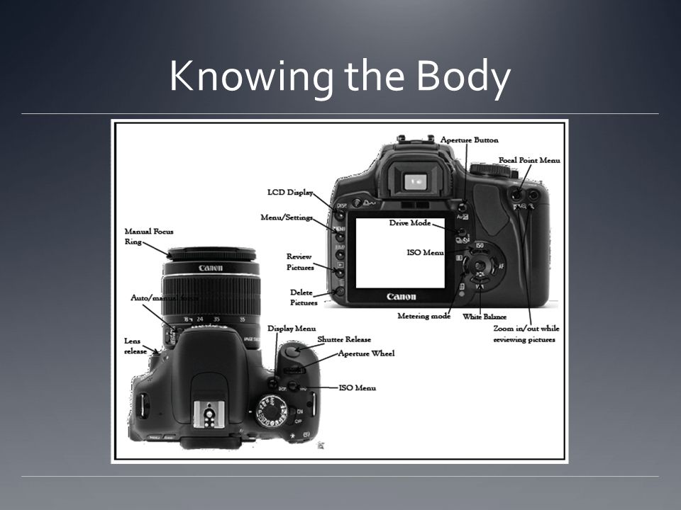 Knowing the Body