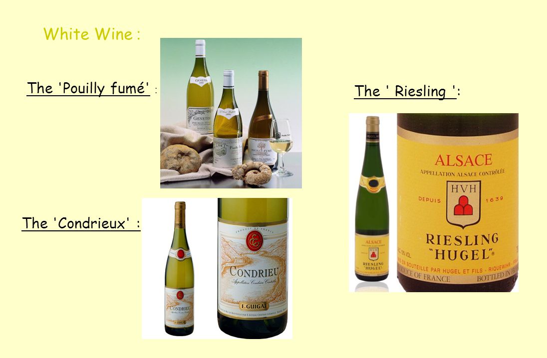 White Wine : The Pouilly fumé : The Riesling : The Condrieux :