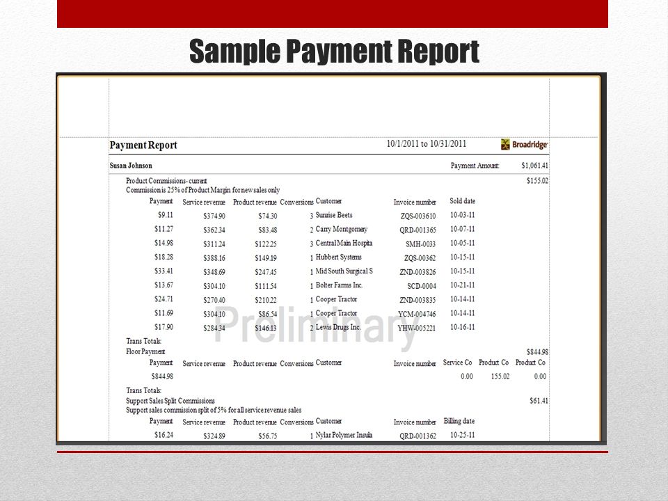 Sample Payment Report