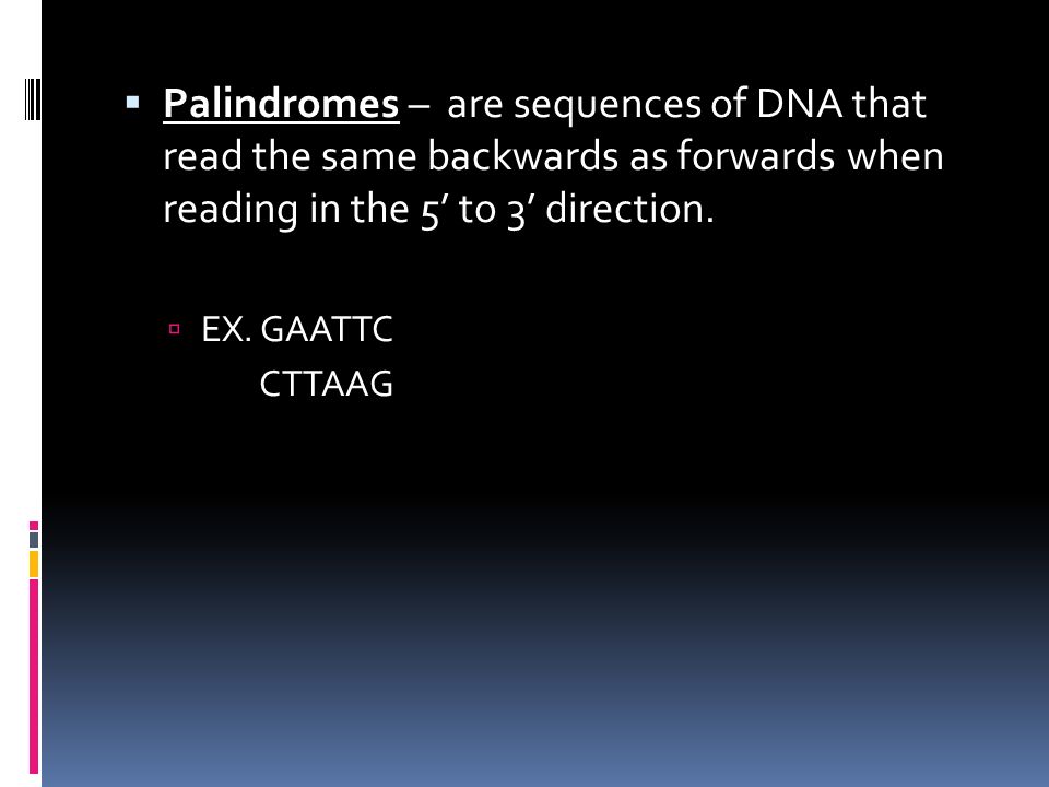  Palindromes – are sequences of DNA that read the same backwards as forwards when reading in the 5’ to 3’ direction.