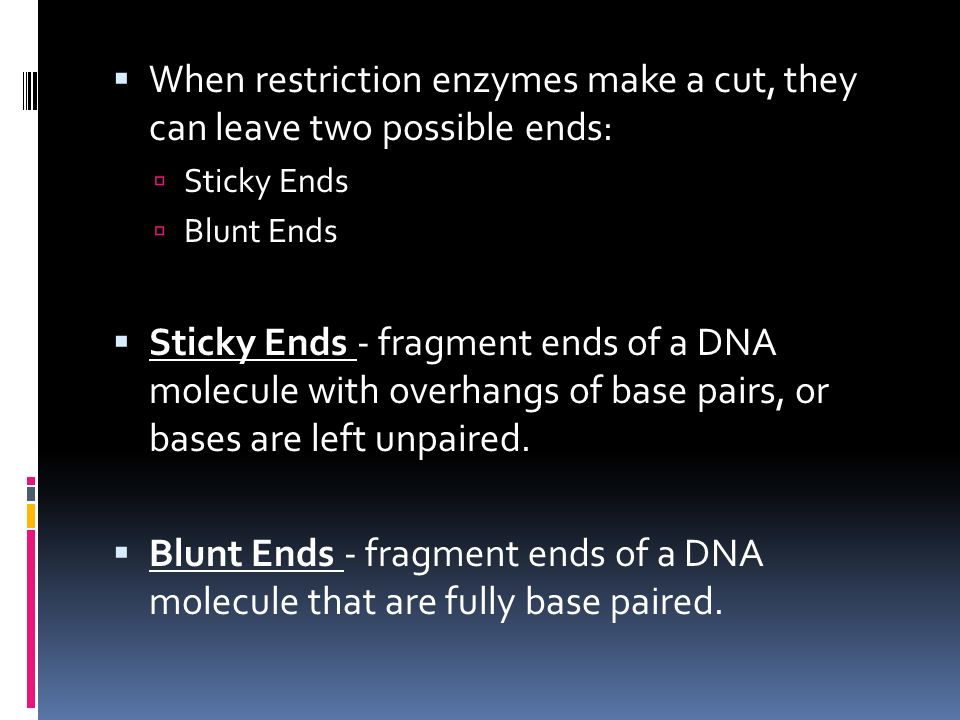  When restriction enzymes make a cut, they can leave two possible ends:  Sticky Ends  Blunt Ends  Sticky Ends - fragment ends of a DNA molecule with overhangs of base pairs, or bases are left unpaired.