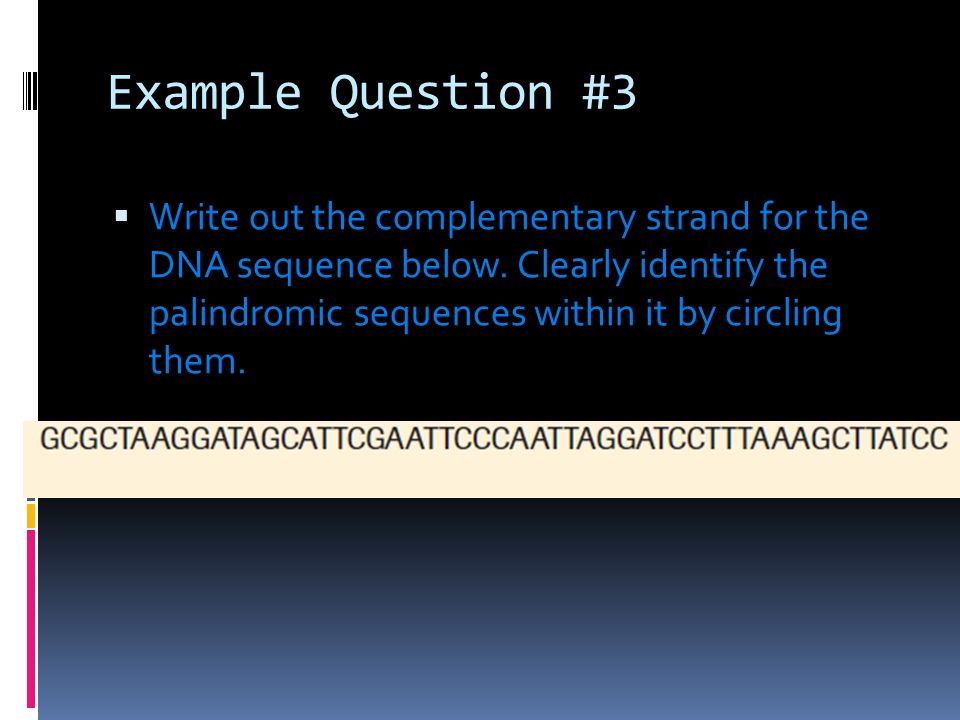 Example Question #3  Write out the complementary strand for the DNA sequence below.