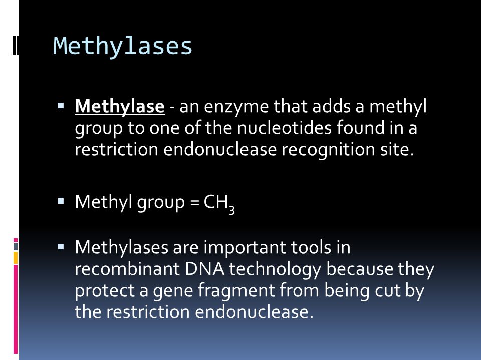 Methylases  Methylase - an enzyme that adds a methyl group to one of the nucleotides found in a restriction endonuclease recognition site.