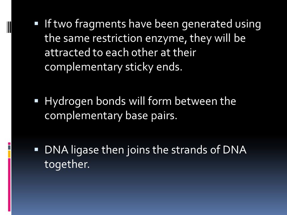  If two fragments have been generated using the same restriction enzyme, they will be attracted to each other at their complementary sticky ends.