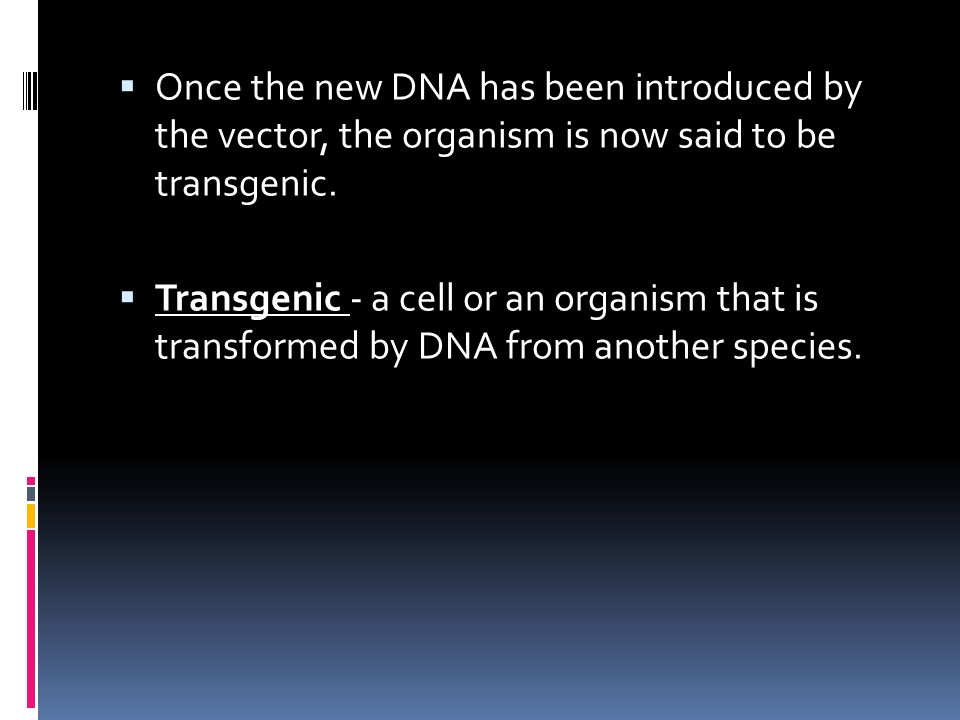  Once the new DNA has been introduced by the vector, the organism is now said to be transgenic.
