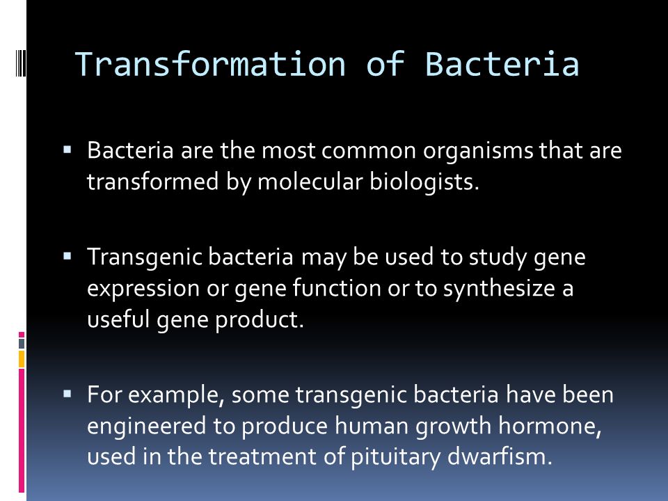 Transformation of Bacteria  Bacteria are the most common organisms that are transformed by molecular biologists.