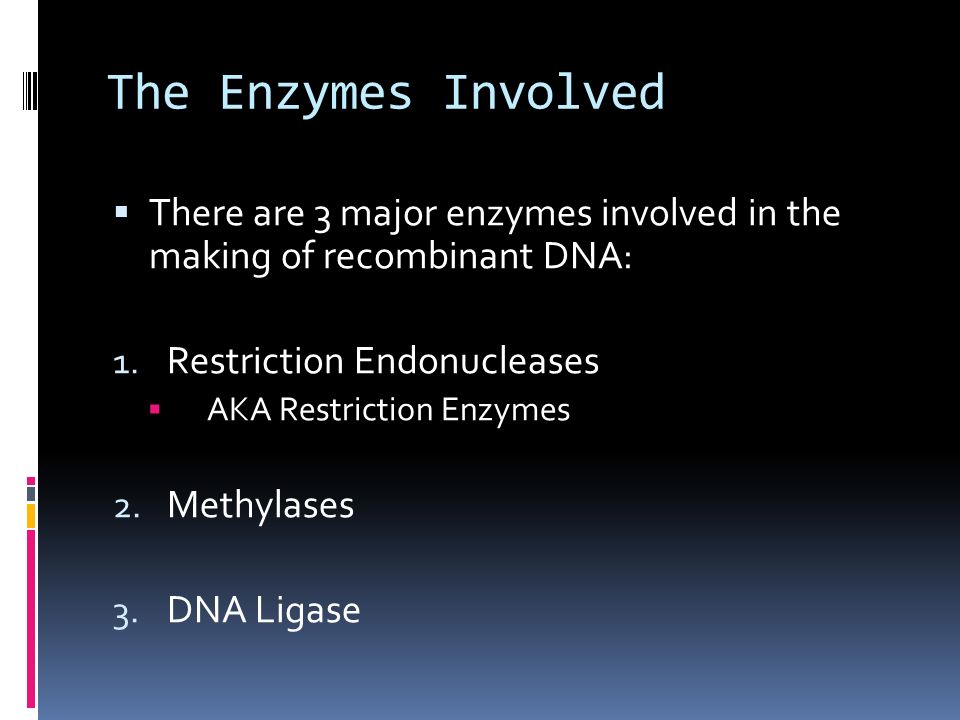 The Enzymes Involved  There are 3 major enzymes involved in the making of recombinant DNA: 1.